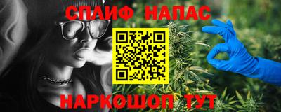 гашик Нальчик