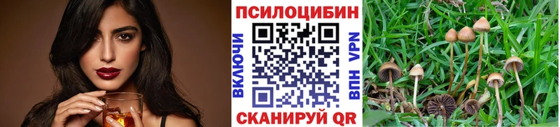 Псилоцибиновые грибы прущие грибы  наркотики  Сарапул 