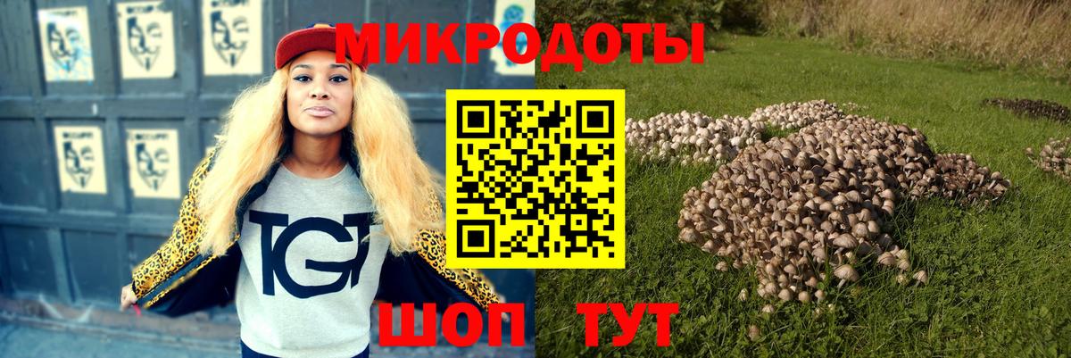 Псилоцибиновые грибы Psilocybe  Галлюциногенные грибы GOLDEN TEACHER  Сарапул  Вход с VPN 