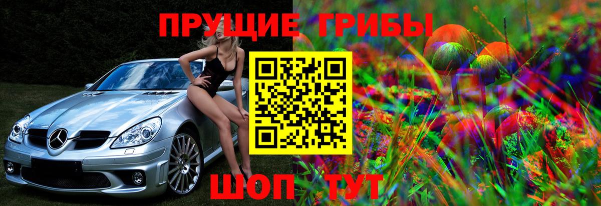 Галлюциногенные грибы Magic Shrooms Сарапул